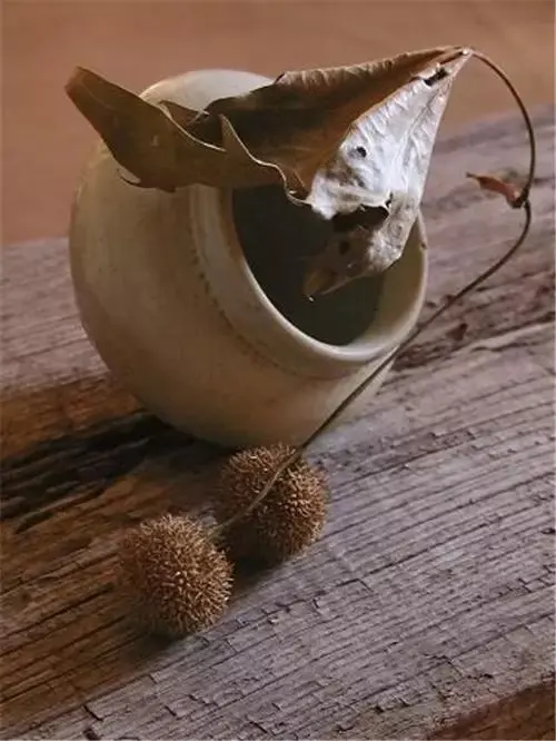 插花配文案 插花的文案