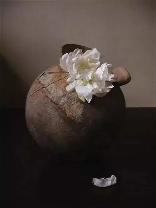 插花配文案 插花的文案