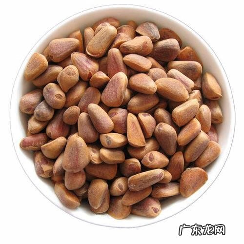 关于松树的外形特征和作用 松树的外形特征和作用是什么