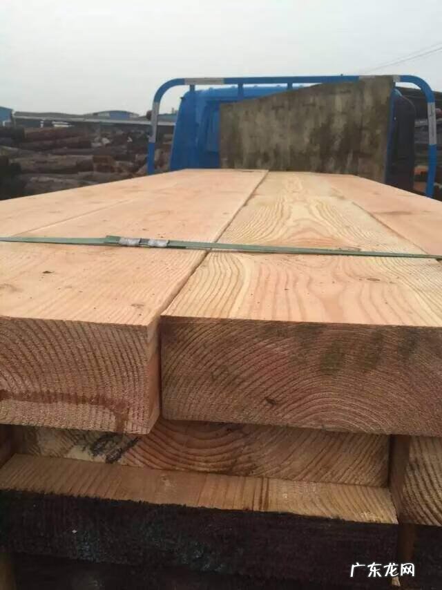 关于松树的外形特征和作用 松树的外形特征和作用是什么