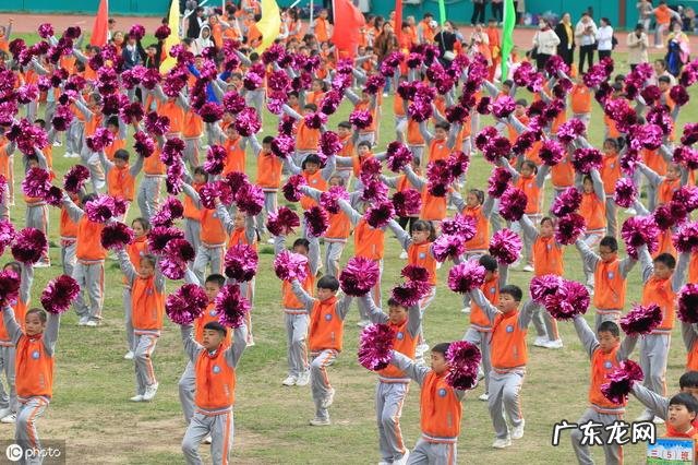 幼儿园运动会加油稿