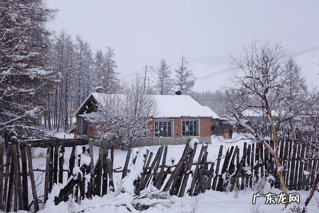 边塞诗4句 边塞的古诗20首