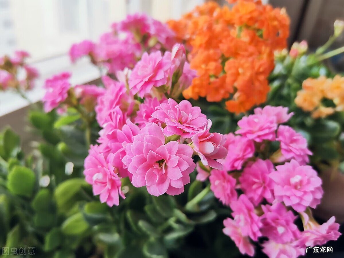 风水阴宅什么土质最好 红土在风水中的寓意