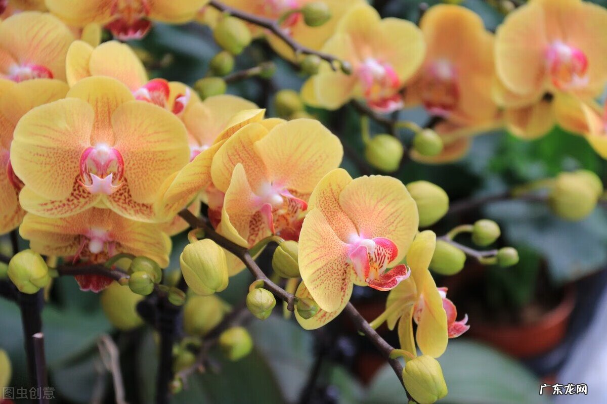 风水阴宅什么土质最好 红土在风水中的寓意