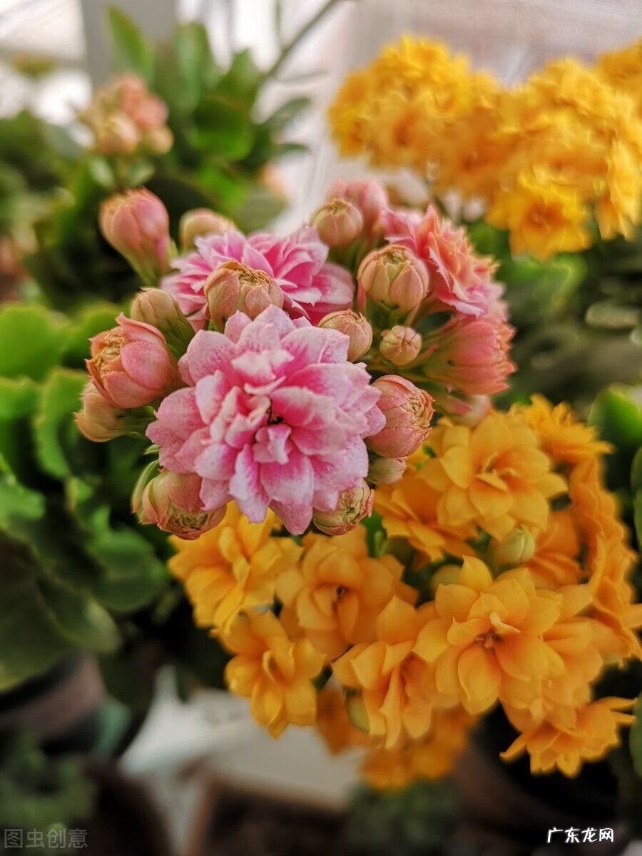 风水阴宅什么土质最好 红土在风水中的寓意