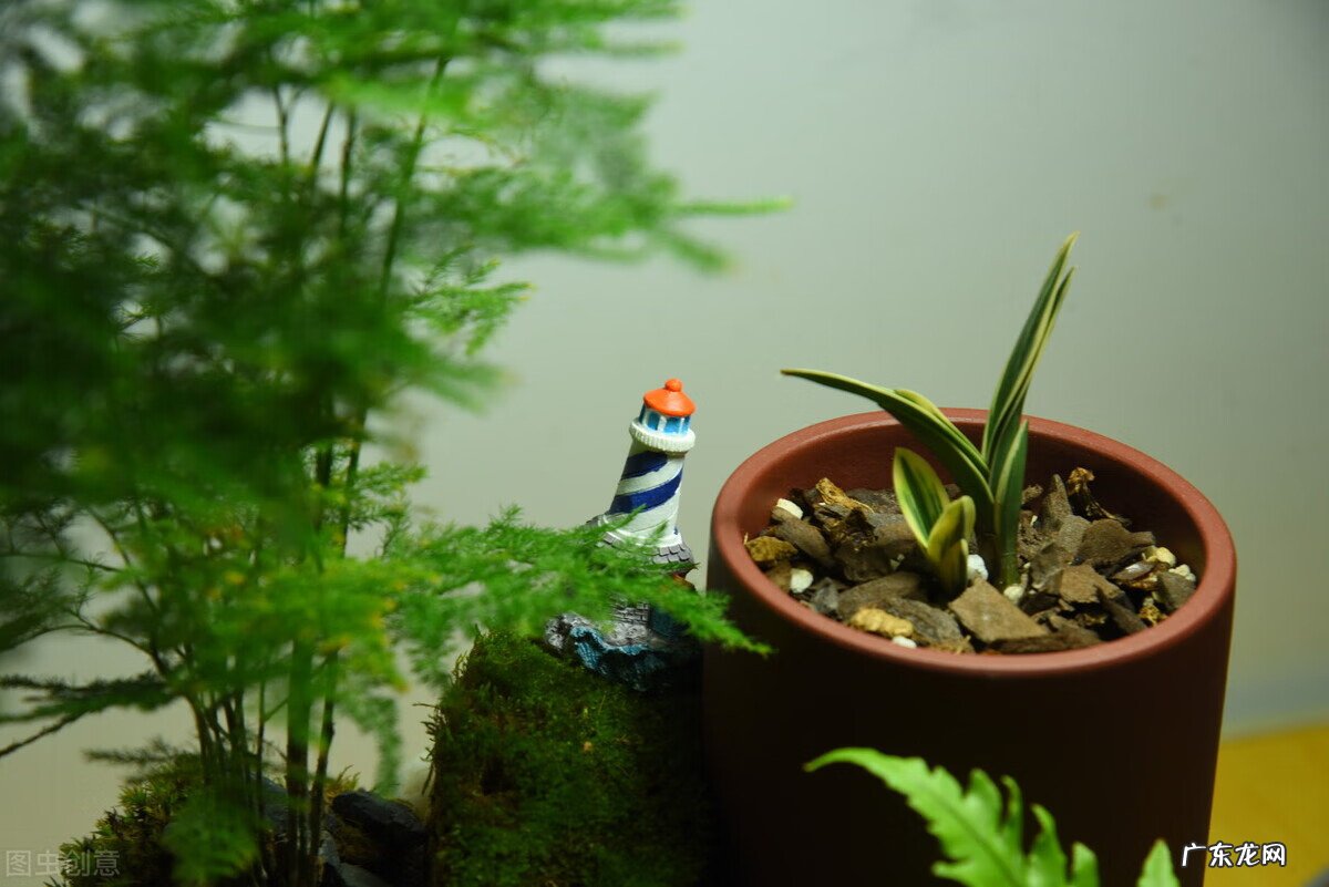 风水阴宅什么土质最好 红土在风水中的寓意