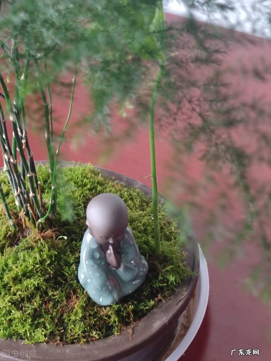 风水阴宅什么土质最好 红土在风水中的寓意