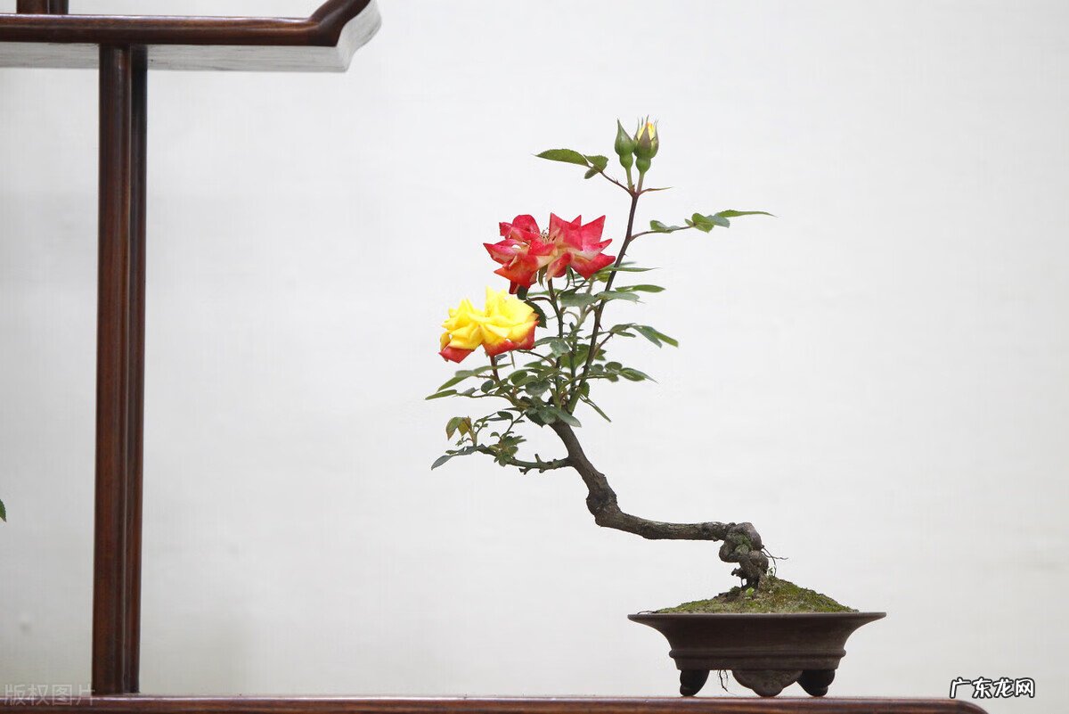 风水阴宅什么土质最好 红土在风水中的寓意