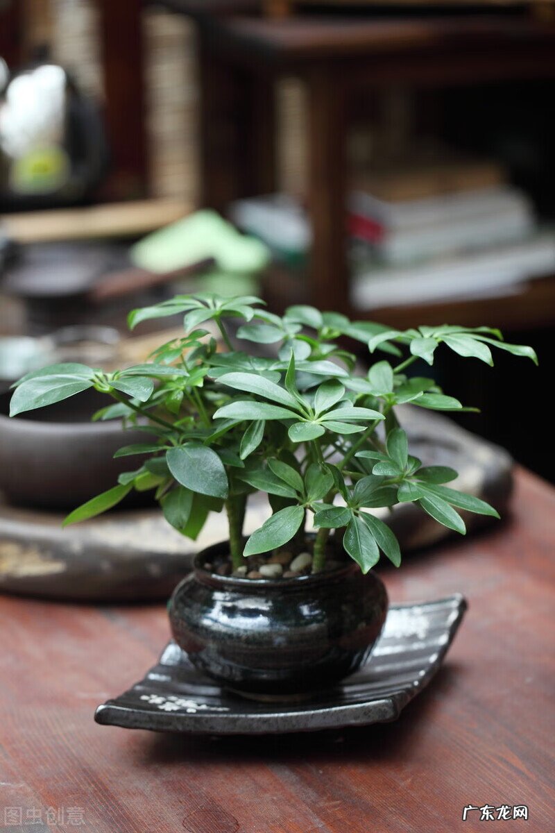 风水阴宅什么土质最好 红土在风水中的寓意