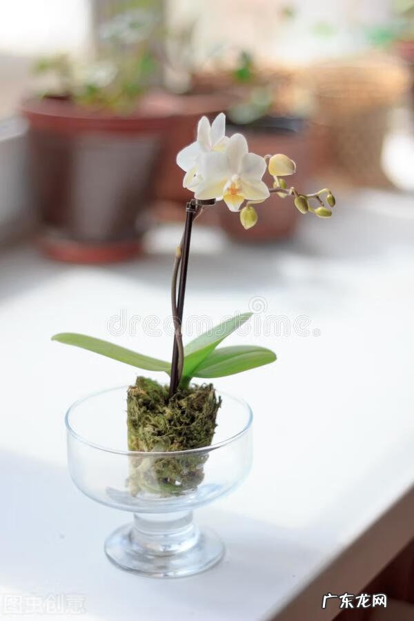 风水阴宅什么土质最好 红土在风水中的寓意