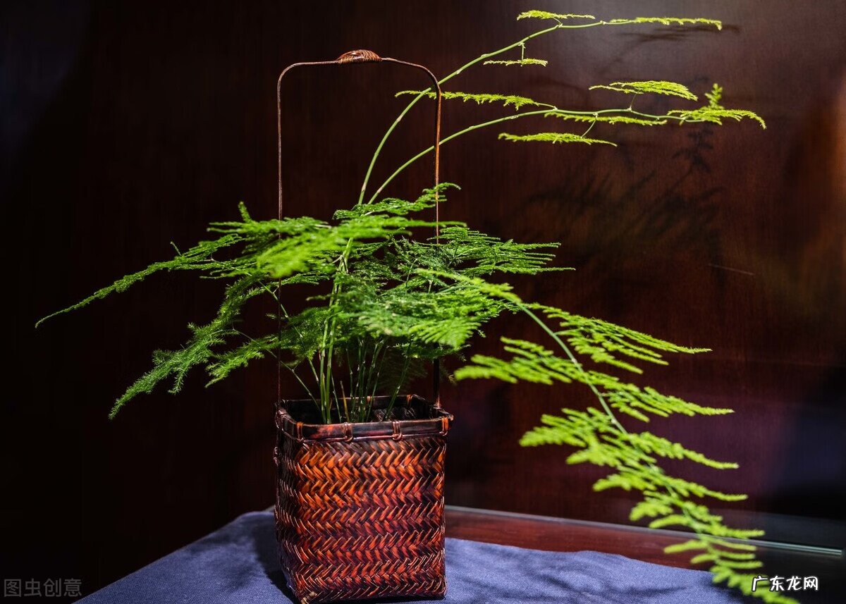 风水阴宅什么土质最好 红土在风水中的寓意