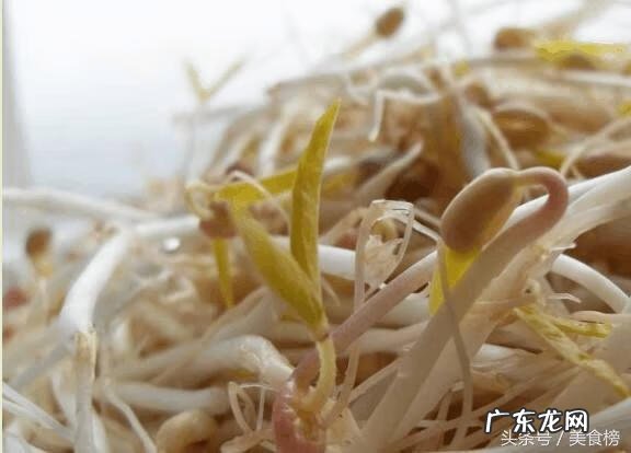 黄豆芽怎么做好吃又简单 绿色的黄豆芽怎么做好吃