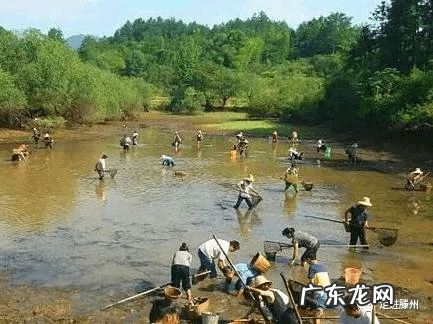 刘衍奎风水大师 滕州风水先生