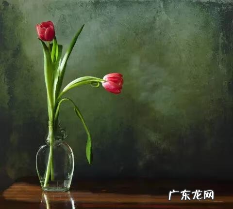 玻璃花瓶 水晶花瓶玻璃