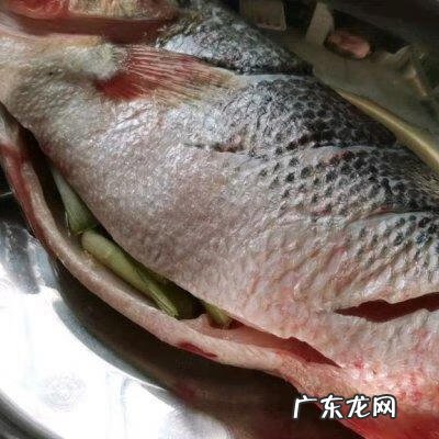 家常清蒸鱼怎么做好吃 清蒸鱼怎样做好吃