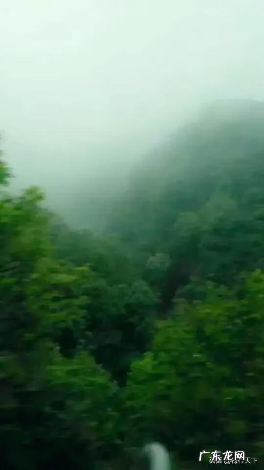 大水川图片 大水川的图片