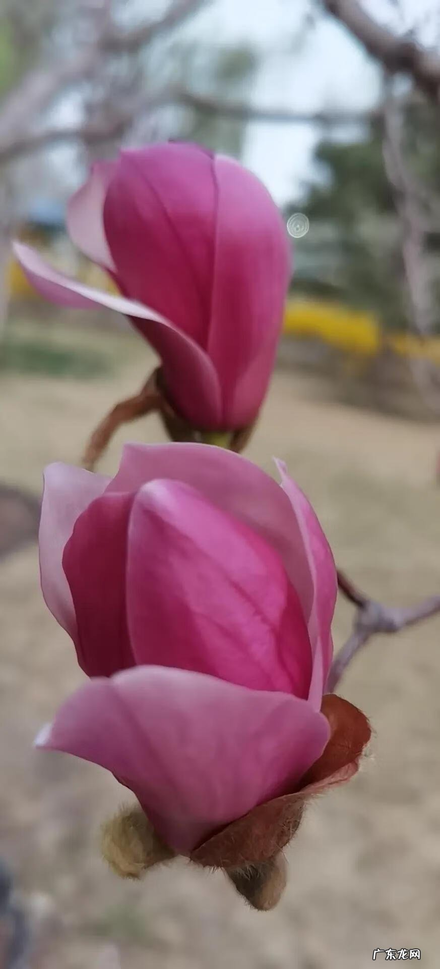 余音绕梁的解释是什么 玉音绕梁好风水