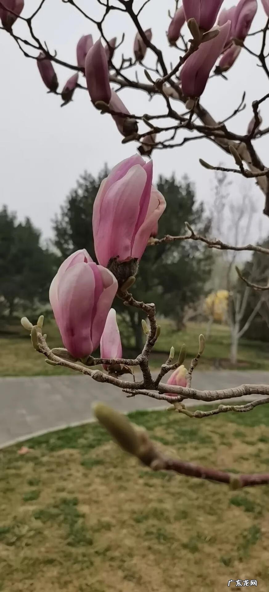 余音绕梁的解释是什么 玉音绕梁好风水