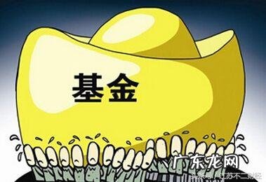 每天一个理财小知识 理财小知识财经