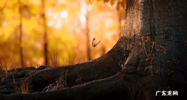 你的状态就是最好的风水 人的三大风水
