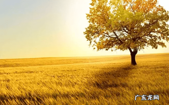 你的状态就是最好的风水 人的三大风水