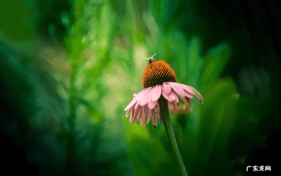 你的状态就是最好的风水 人的三大风水