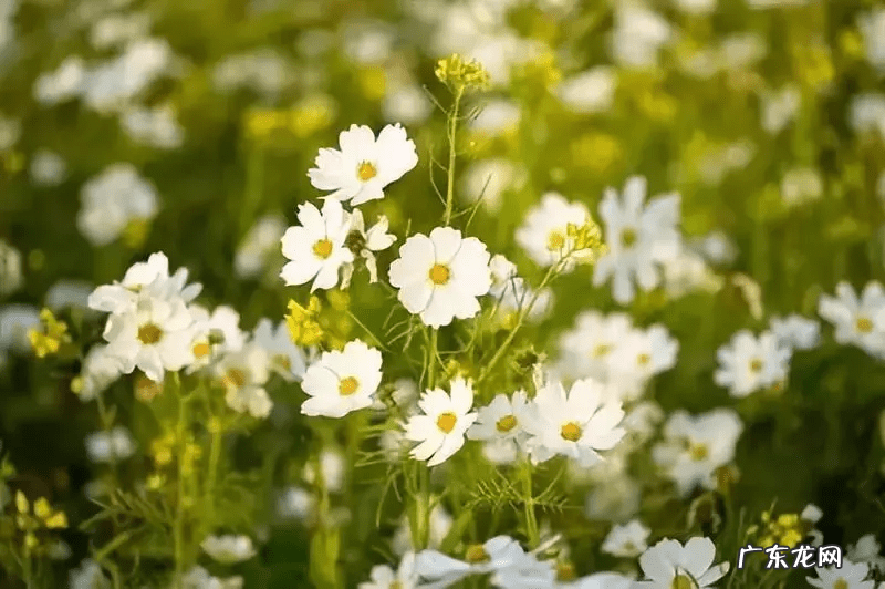 你的状态就是最好的风水 人的三大风水