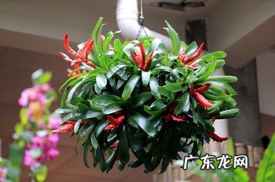 旺事业运转运的小妙招 如何利用风水催旺事业运