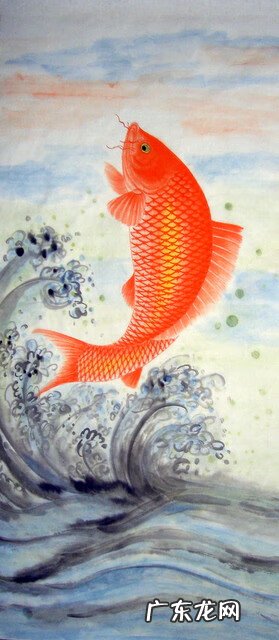 风水宝地六个标准 鱼跃龙门风水宝地