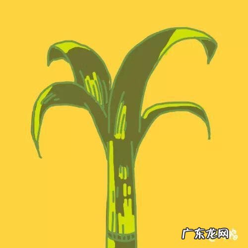 中秋灯谜大全及答案简单 中秋灯谜大全及答案有趣