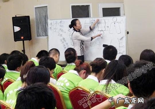 学美容好还是护理好 美容护理专业