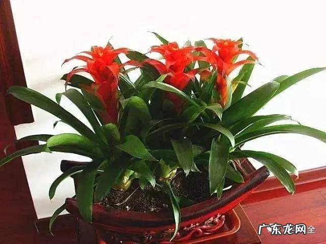 进户门斜对着厕所门 进户门45斜风水