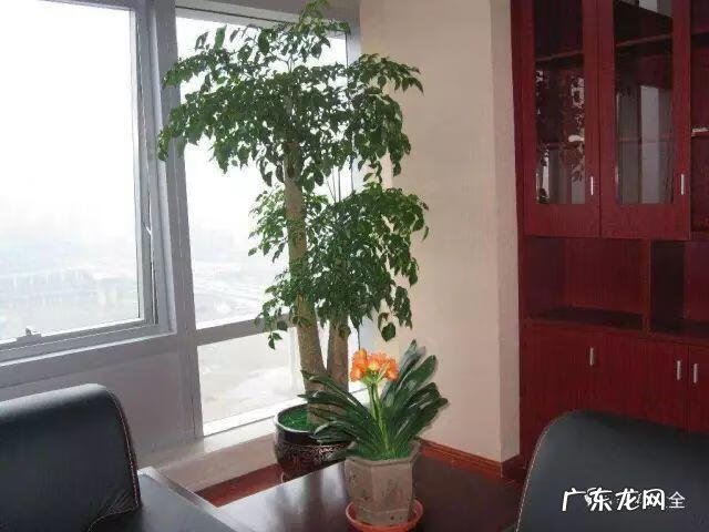 进户门斜对着厕所门 进户门45斜风水