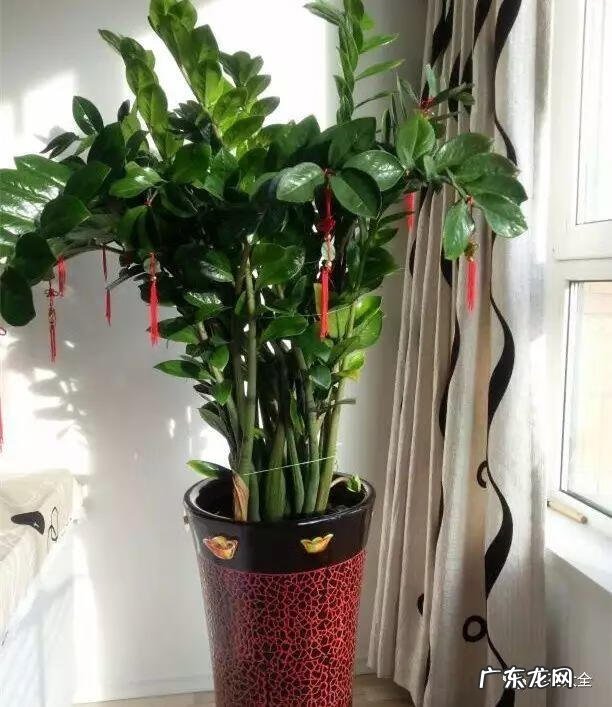 进户门斜对着厕所门 进户门45斜风水