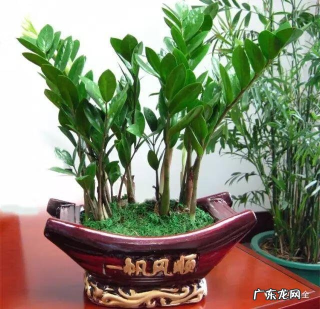 进户门斜对着厕所门 进户门45斜风水