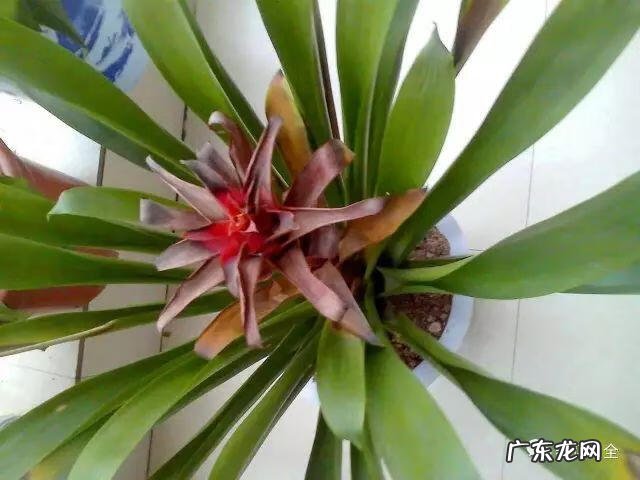 进户门斜对着厕所门 进户门45斜风水