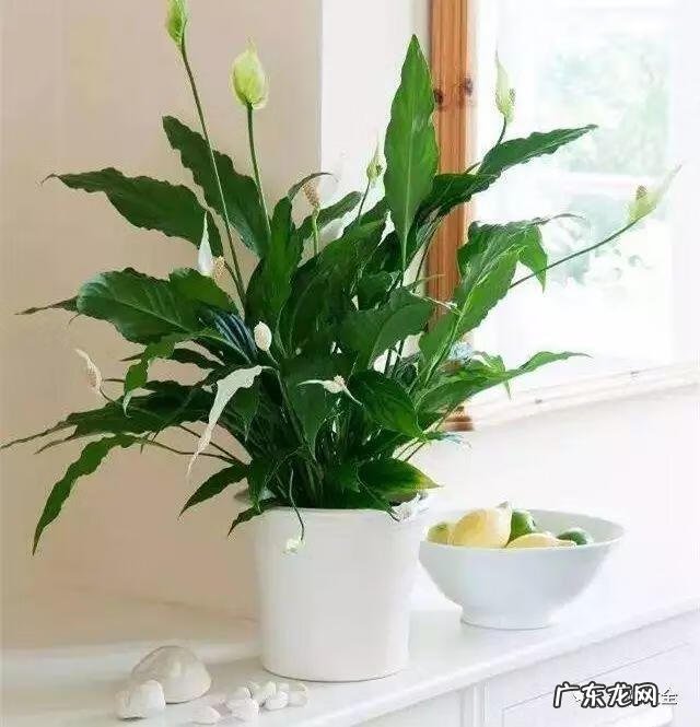 进户门斜对着厕所门 进户门45斜风水