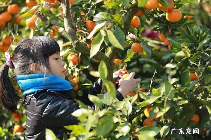 发富风水阳宅 富水湖牛鼻孔风水