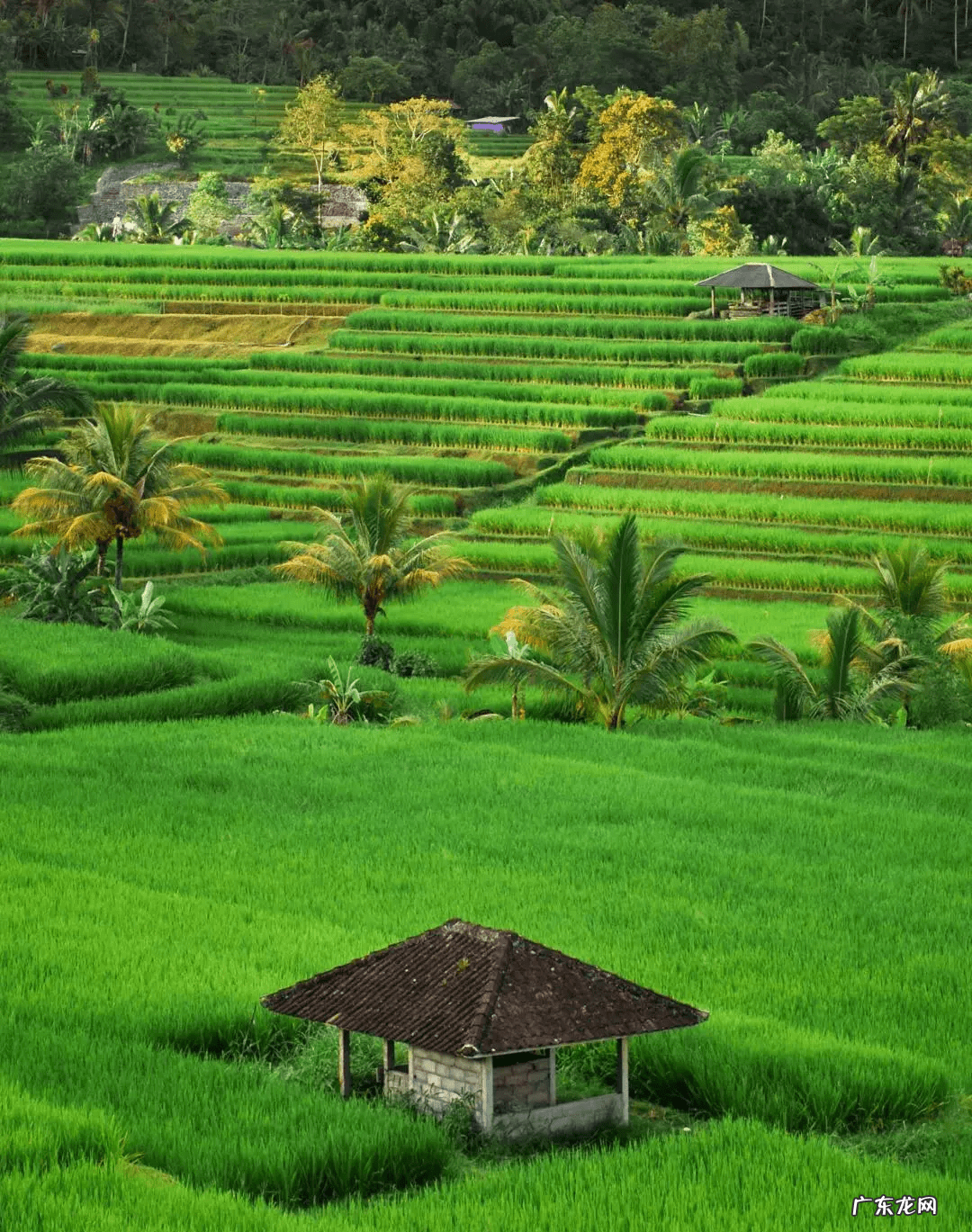风水中的龙门有什么讲究 龙王庙对风水的影响作用