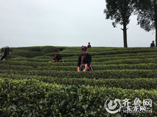 方家山 宁德市洋中镇方家山风水如何