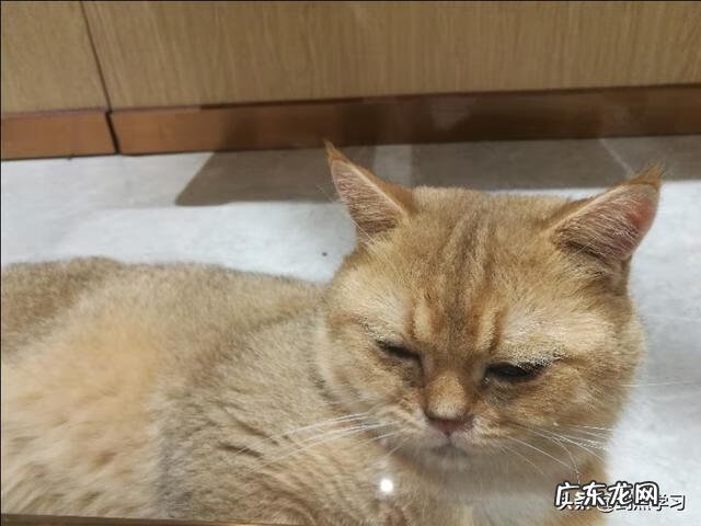 劳动节手抄报模板 劳动节手抄报图片