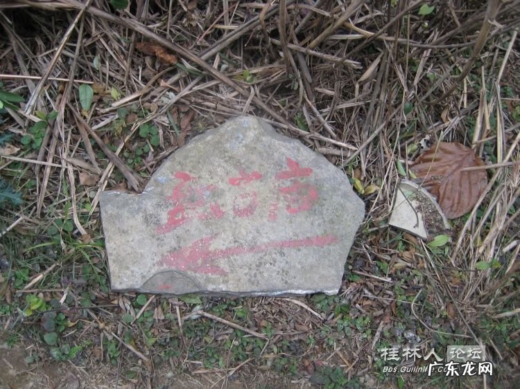 来宾良塘风水宝地 广西来宾市良塘乡风水宝地