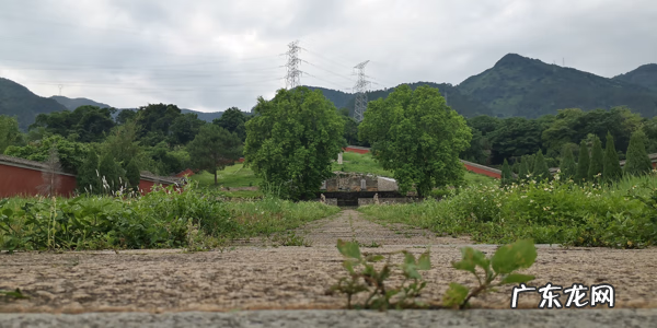 名墓风水 福建风水名墓考察