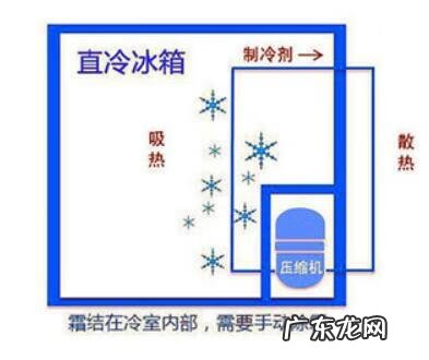 怎么样选购冰箱 如何选购冰箱