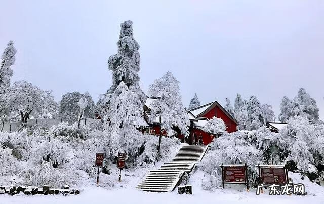 表达思乡之情的古诗句 表达思乡之情的古诗有哪些