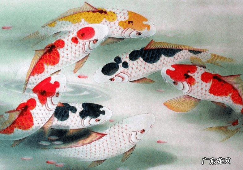 什么样的画能带来好风水 风水画的讲究