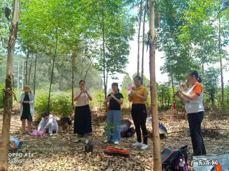 武宣八仙岭风水留题 广西武宣县八仙岭风水留题诗