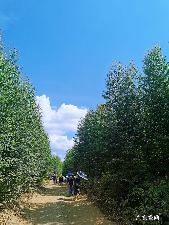 武宣八仙岭风水留题 广西武宣县八仙岭风水留题诗