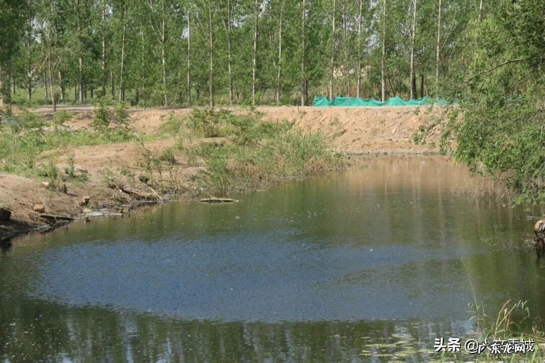禹洲地产怎么样 禹城风水最好的地方