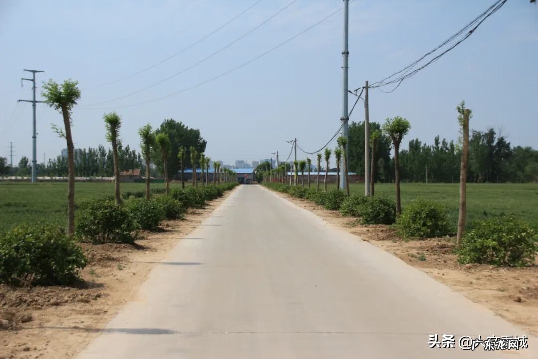 禹洲地产怎么样 禹城风水最好的地方